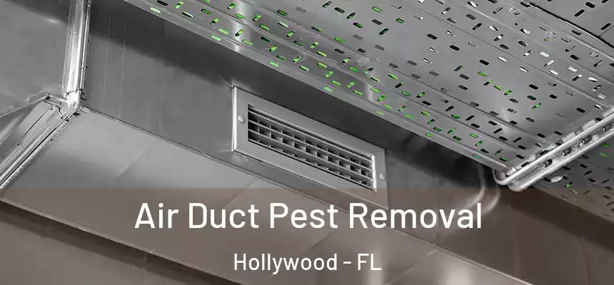 Air Duct Pest Removal Hollywood - FL