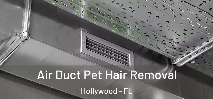Air Duct Pet Hair Removal Hollywood - FL