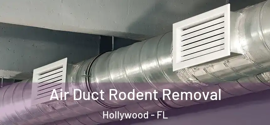 Air Duct Rodent Removal Hollywood - FL