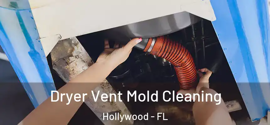  Dryer Vent Mold Cleaning Hollywood - FL