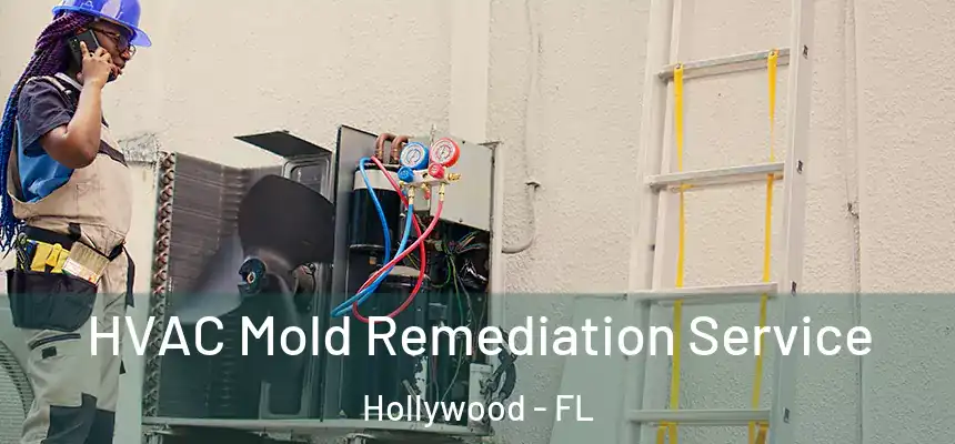  HVAC Mold Remediation Service Hollywood - FL