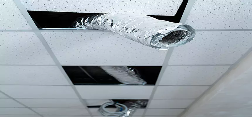 Our Air Duct Pet Hair Removal Services in Hollywood, FL