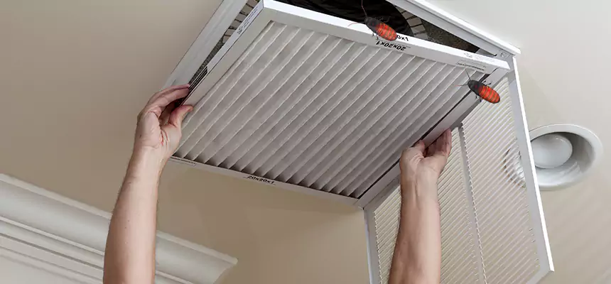 Our Insect Removal from Air Ducts Services in Hollywood, FL