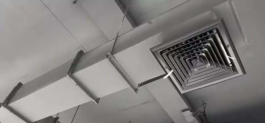 Our Rodent Droppings In Vents Services in Hollywood, FL