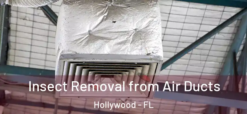  Insect Removal from Air Ducts Hollywood - FL