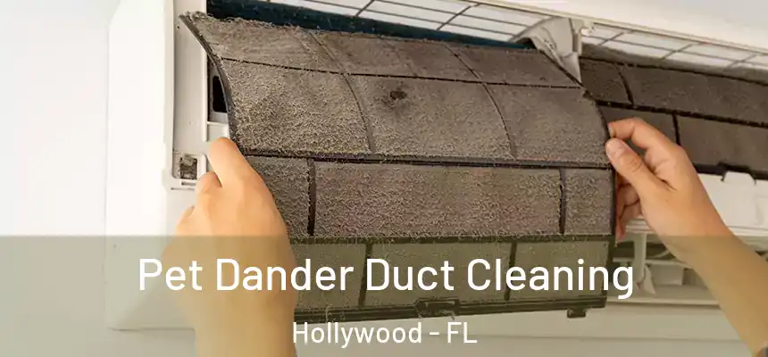 Pet Dander Duct Cleaning Hollywood - FL