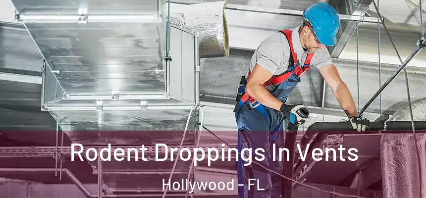  Rodent Droppings In Vents Hollywood - FL
