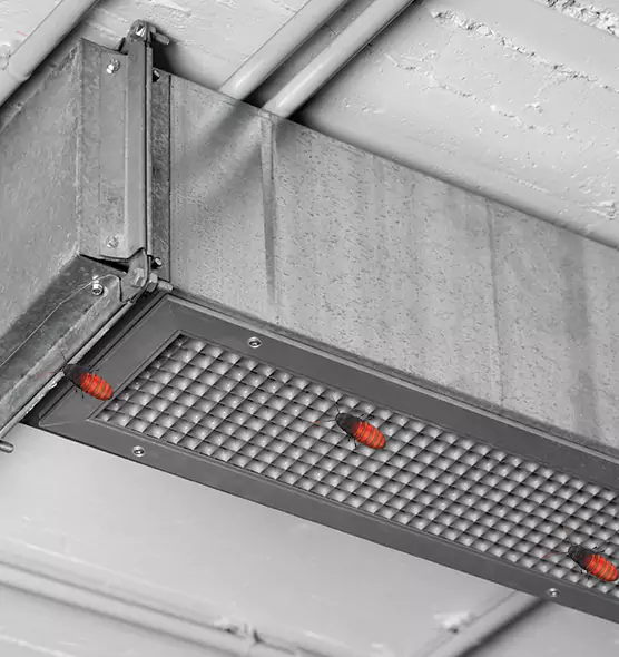 About Air Duct Cockroach Removal in Hollywood, FL