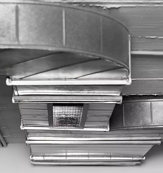 Professional Air Duct Pet Hair Removal in Hollywood, FL