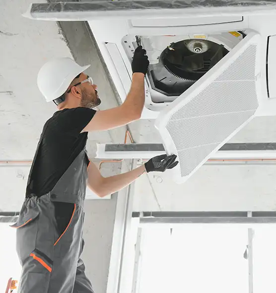 About Air Duct Rodent Removal in Hollywood, FL