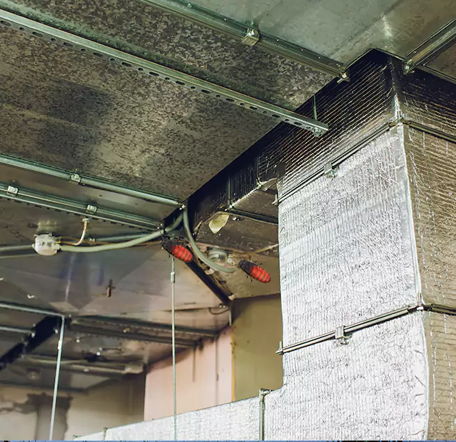 Why Homeowners & Businesses Trust Us in Hollywood, FL?