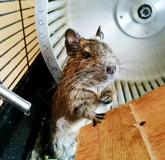 Why Homeowners & Businesses Trust Us Hollywood, FL