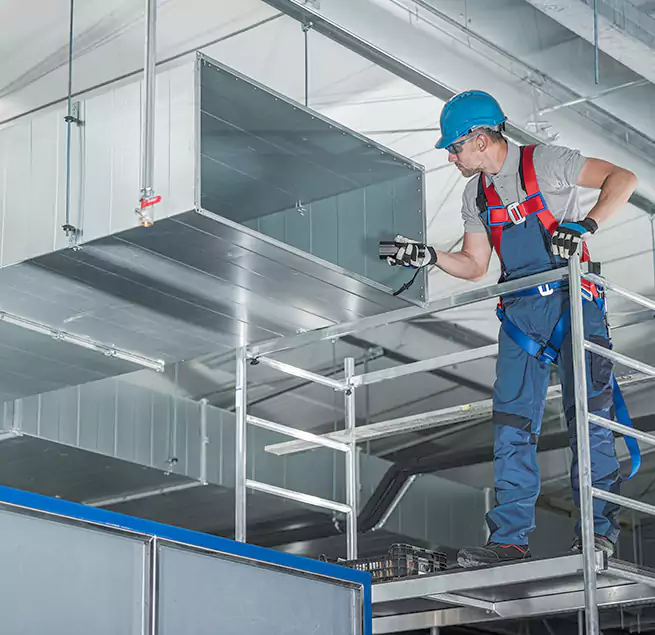 Why Homeowners & Businesses Trust Us in Hollywood, FL?