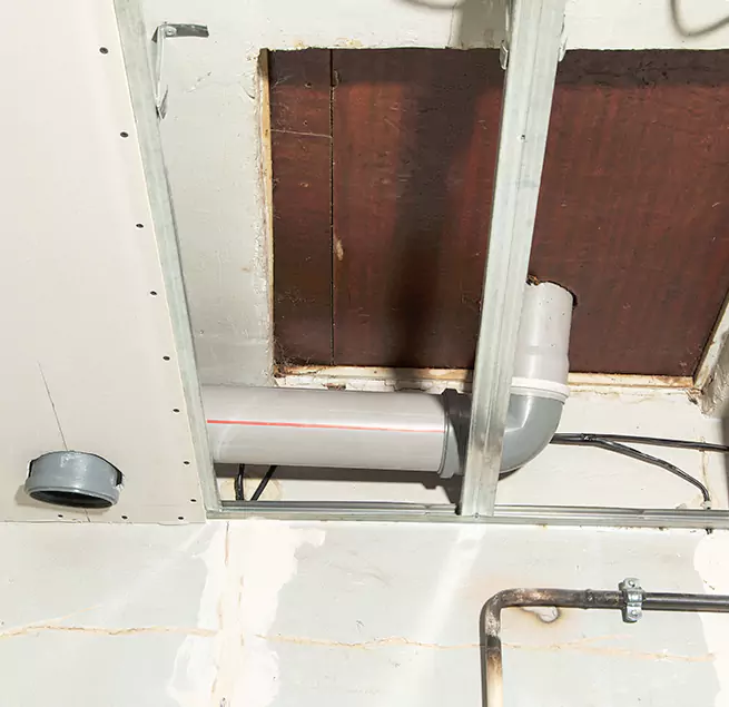 Why Homeowners & Businesses Trust Us in Hollywood, FL?