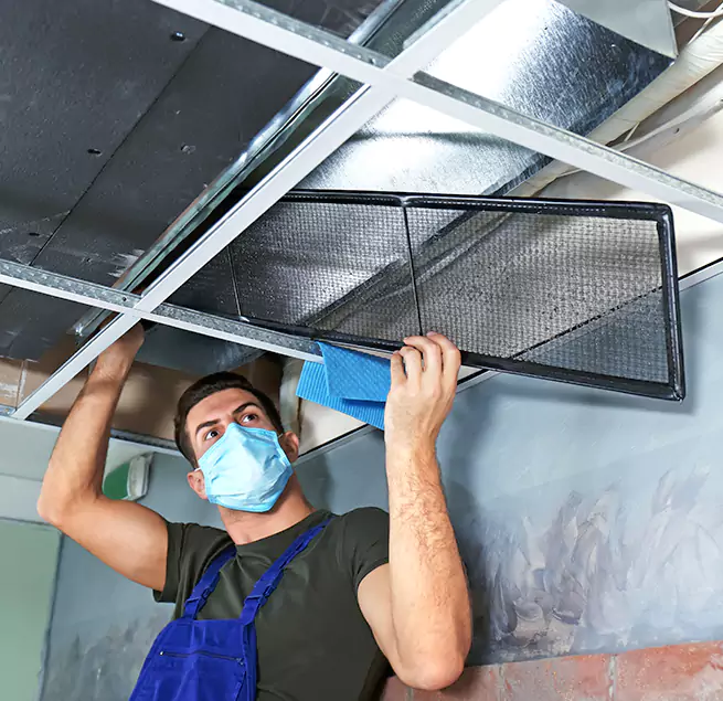 Why Homeowners & Businesses Trust Us in Hollywood, FL?